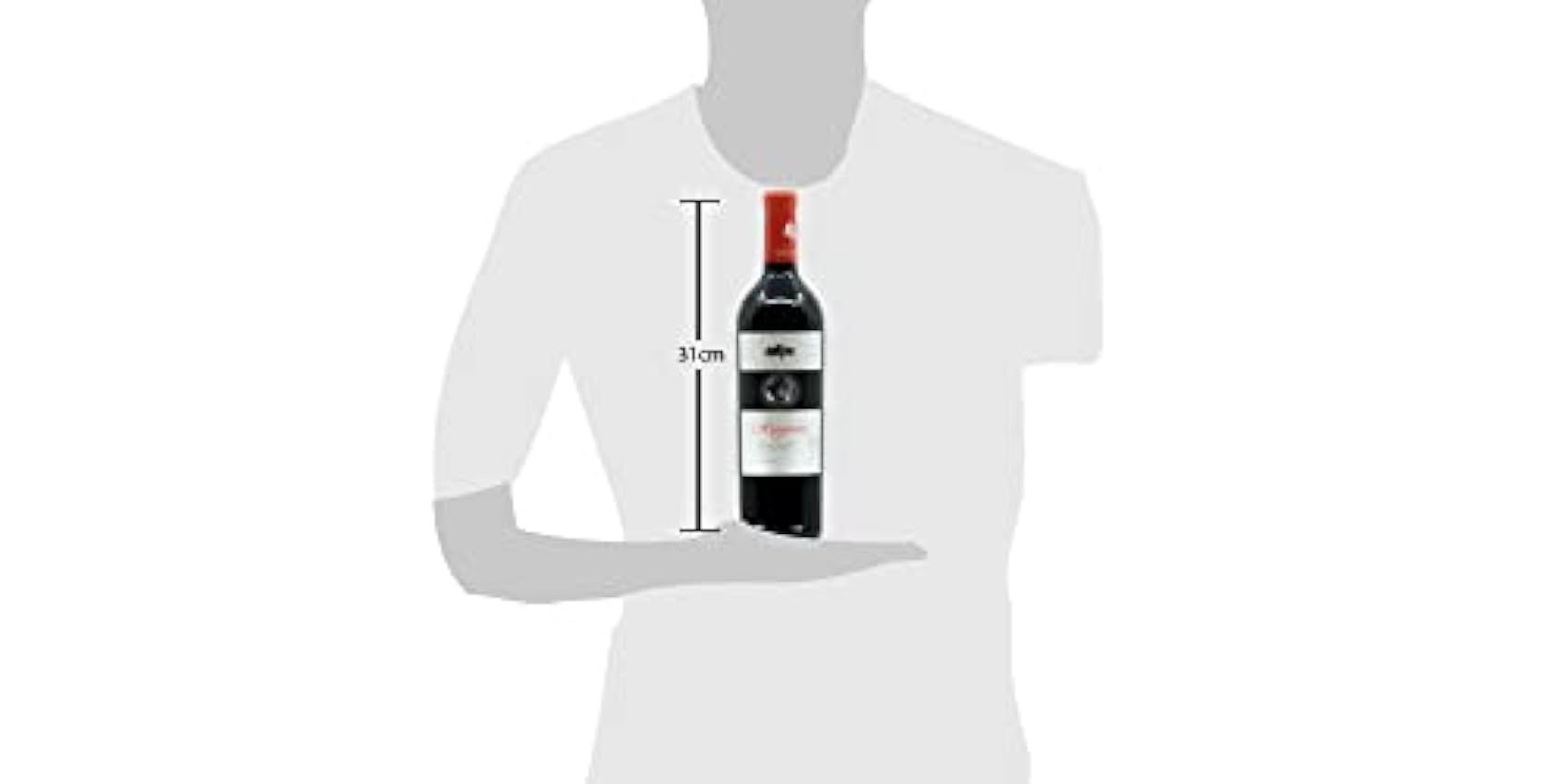 BODEGAS ARAGONESAS - ARAGONIA | Vino tinto Denominación de Origen Campo de Borja | 100% Garnacha | Botella-0,75L 59GmZzjf