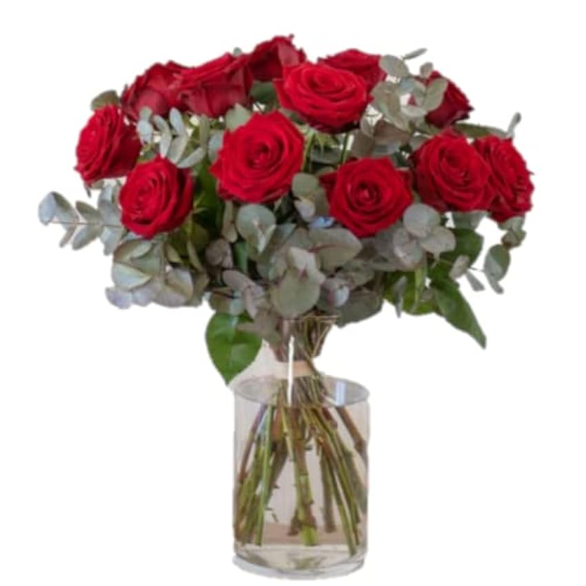 Ramo de 12 rosas rojas -FLORES NATURALES-ENTREGA EN 24 HORAS DE LUNES A SABADO 0cChR6bh