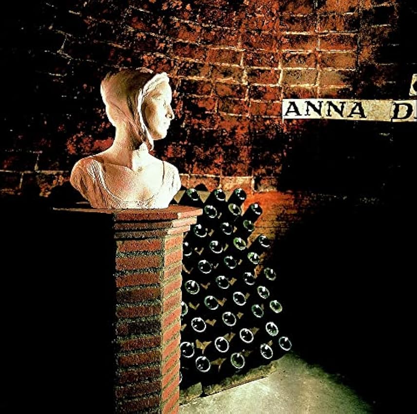 Anna de Codorníu Blanc de Noirs - DO Cava, 100% Pinot Noir - 75cl ESgT0boa